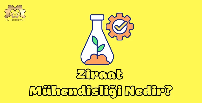 ZMO Antalya Şube Başkanı Uyardı: Mesleki haklarımız zedeleniyor!