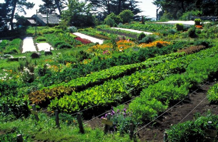 Permakültürü Daha Sık Konuşacağız